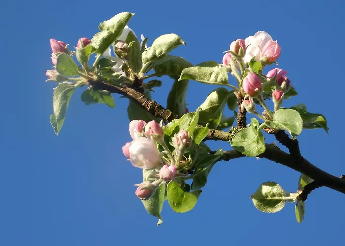 Tatil Evi De Charme Les Petits Matins Bleus Sainte-Marguerite-de-Viette