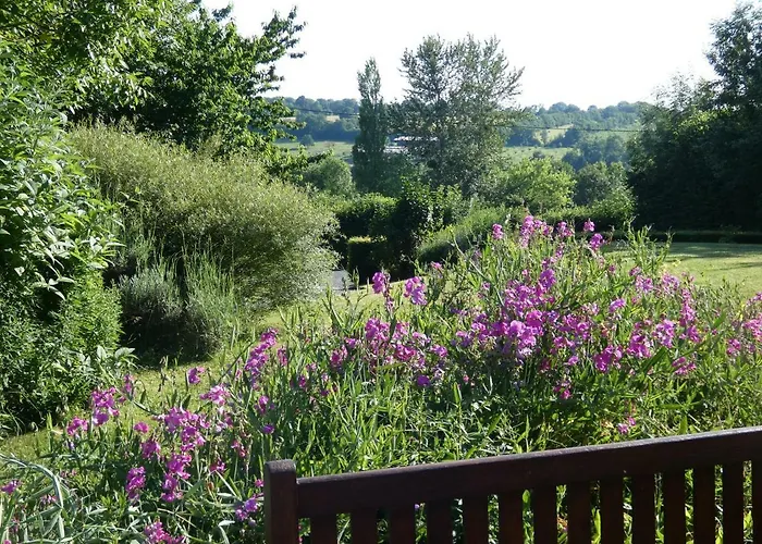 De Charme Les Petits Matins Bleus